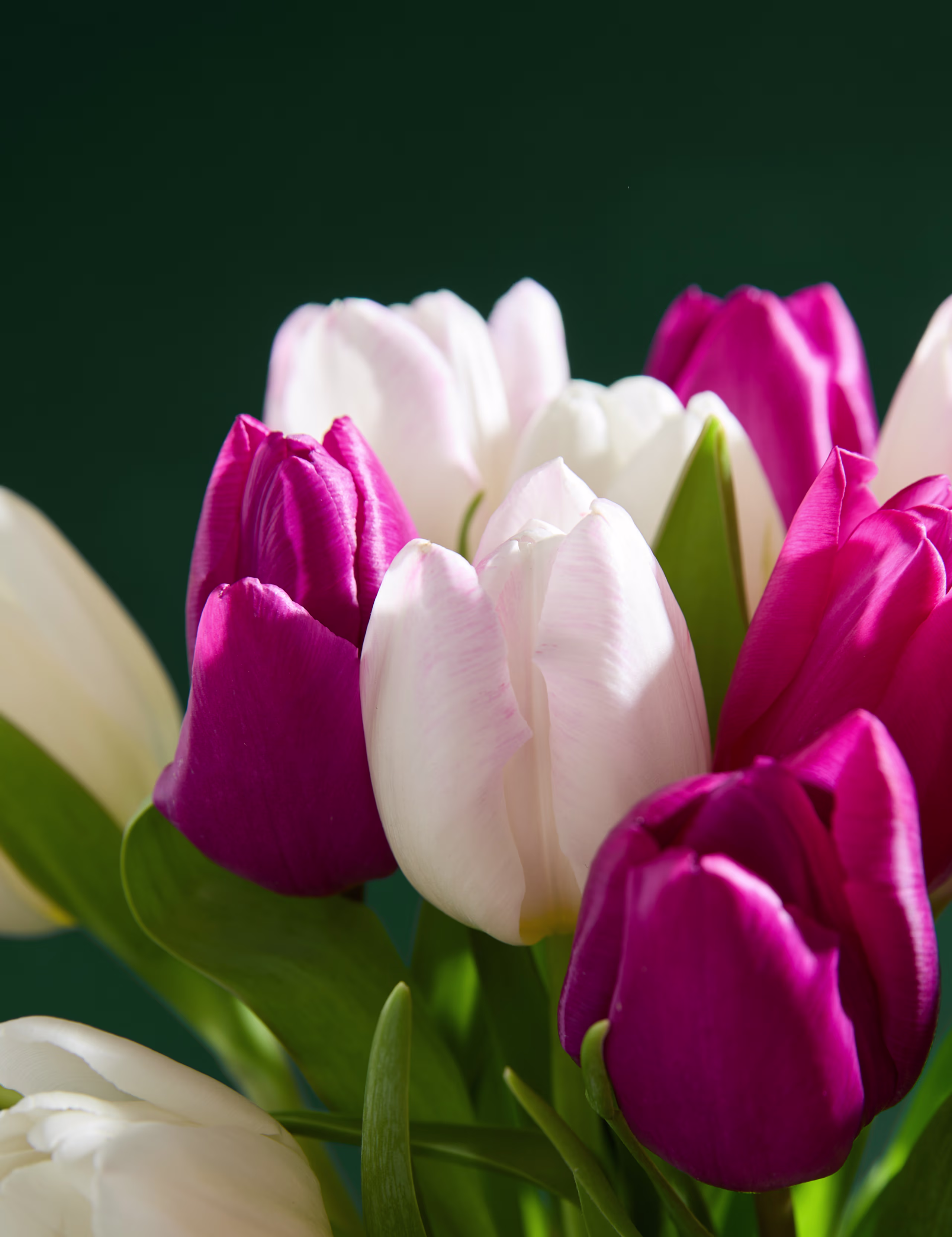 Anneler Günü Pembe Lale Buketi